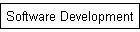 Software Development